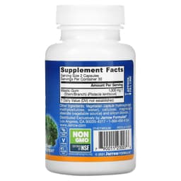 Jarrow Formulas, мастиковая смола, 60 растительных капсул