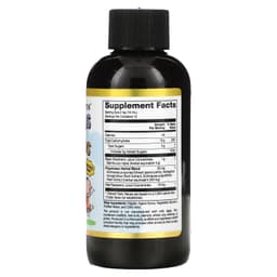 California Gold Nutrition, Бузина для детей, сироп из европейской черной бузины с эхинацеей, 120 мл
