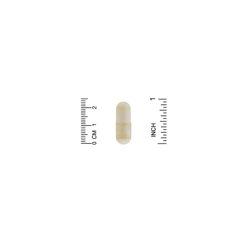 California Gold Nutrition, Gold C, витамин C, 1000 мг, 240 вегетарианских капсул