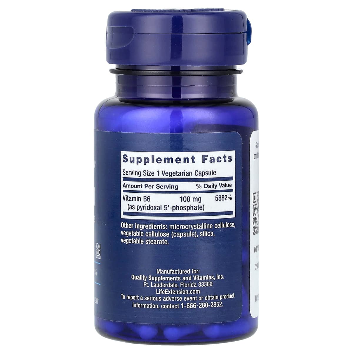 Life Extension - Pyridoxal, пиридоксаль 5'-фосфат в капсулах, 100 мг, 60 вегетарианских капсул