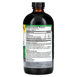 Nature's Answer, жидкий хлорофилл, 100 мг, 480 мл (16 унций)