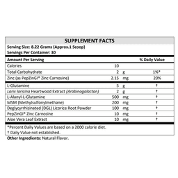 Terra Origin, Healthy Gut Vegan Formula, добавка для поддержки и восстановления желудочно-кишечного тракта, 246 г (8,7 унции)