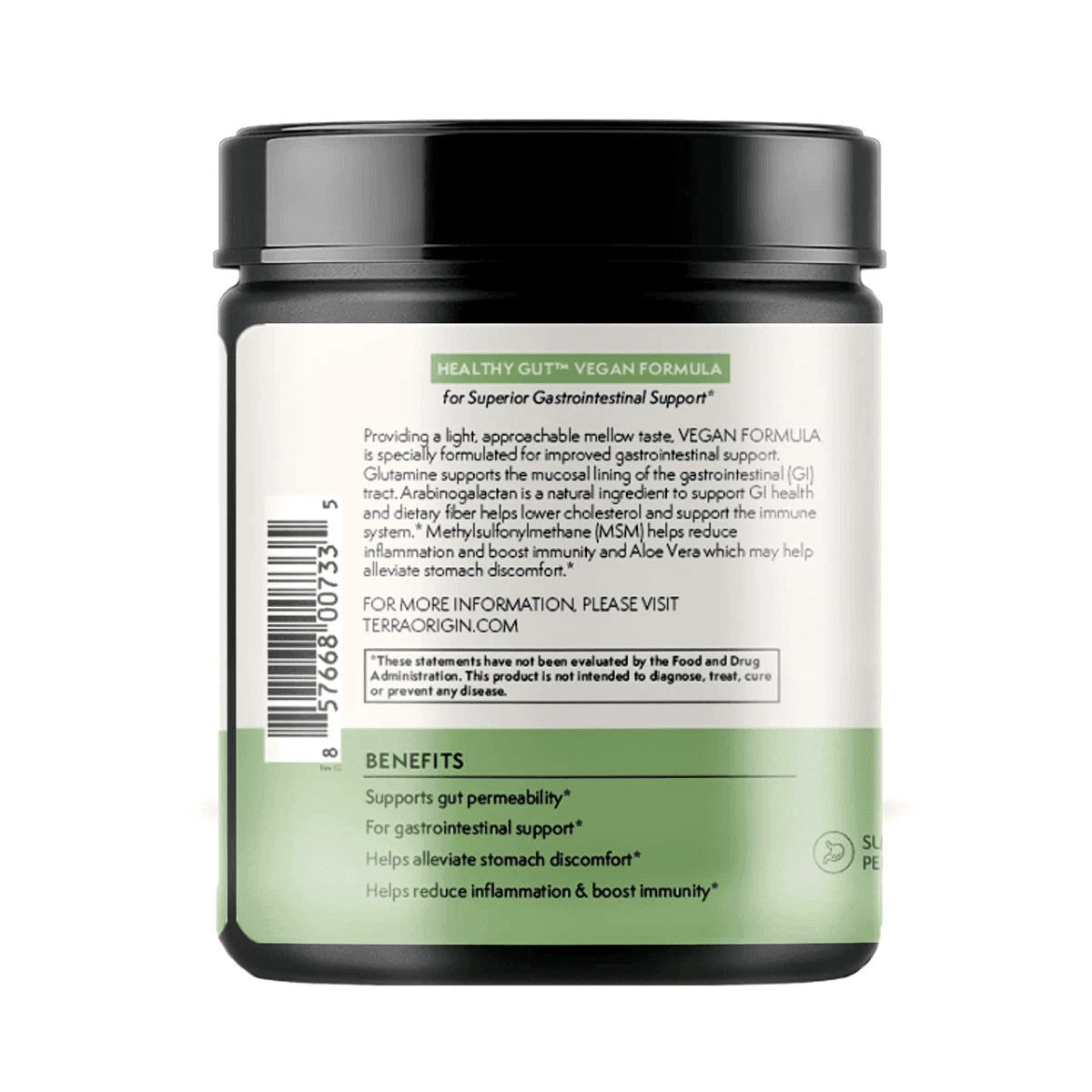 Terra Origin, Healthy Gut Vegan Formula, добавка для поддержки и восстановления желудочно-кишечного тракта, 246 г (8,7 унции)