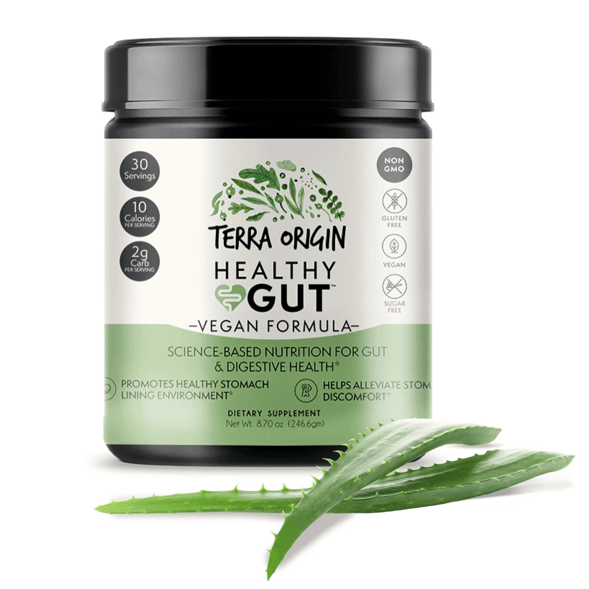 Terra Origin, Healthy Gut Vegan Formula, добавка для поддержки и восстановления желудочно-кишечного тракта, 246 г (8,7 унции)