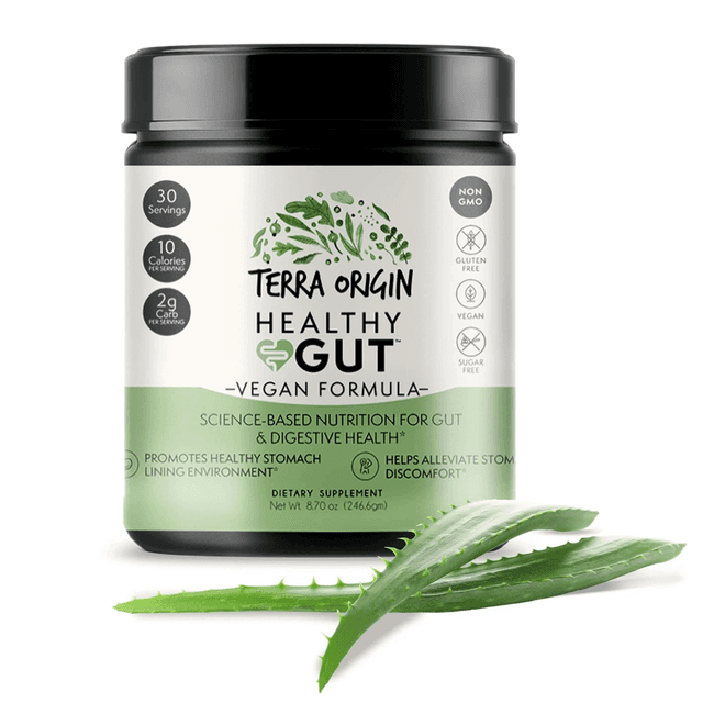 Terra Origin, Healthy Gut Vegan Formula, добавка для поддержки и восстановления желудочно-кишечного тракта, 246 г (8,7 унции)