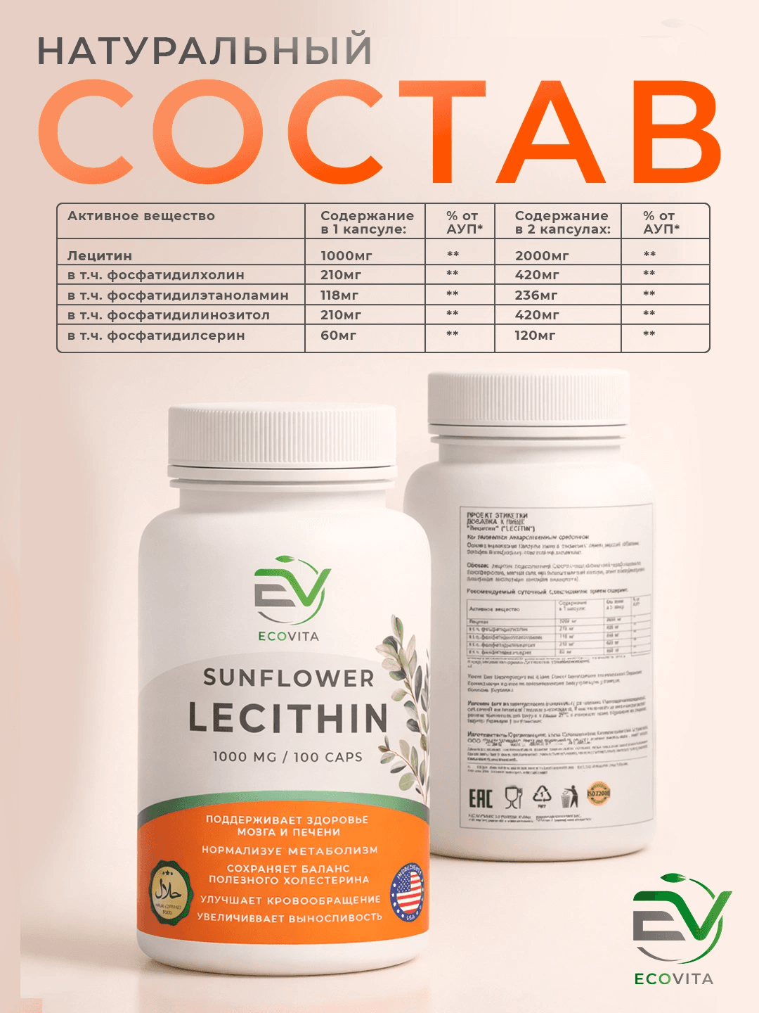 EcoVita, Lecithin, для здоровья печени, мозга и нервной системы, 1000 мг, 100 капсул