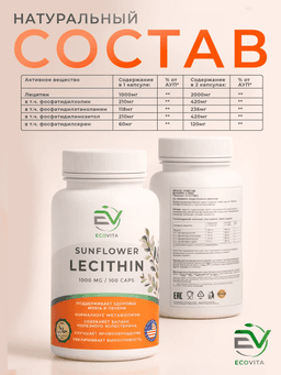 EcoVita, Lecithin, для здоровья печени, мозга и нервной системы, 1000 мг, 100 капсул