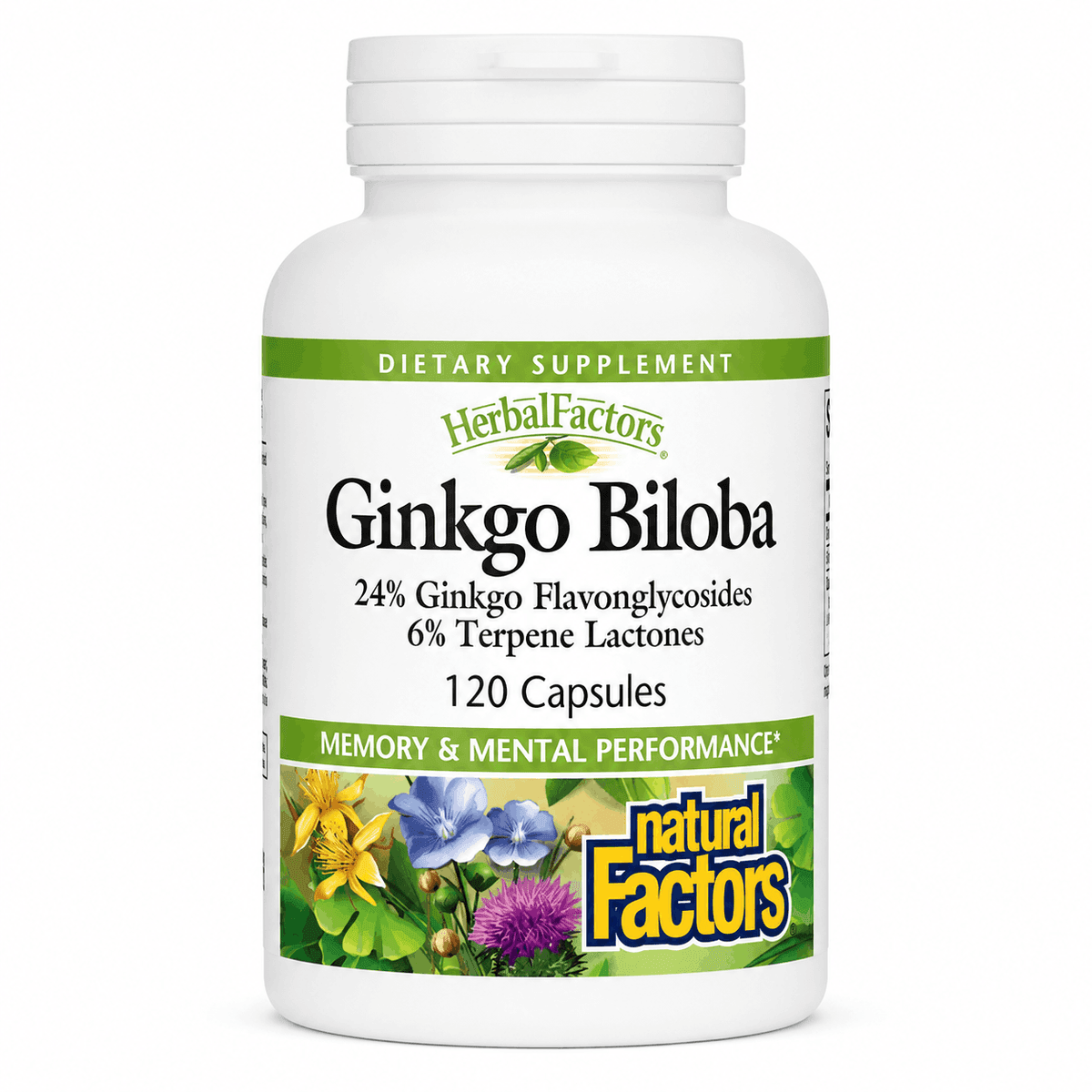 Natural Factors, HerbalFactors, гинкго билоба, 60 мг, 120 капсул